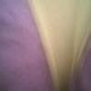 foto do perfil bunda gulosa